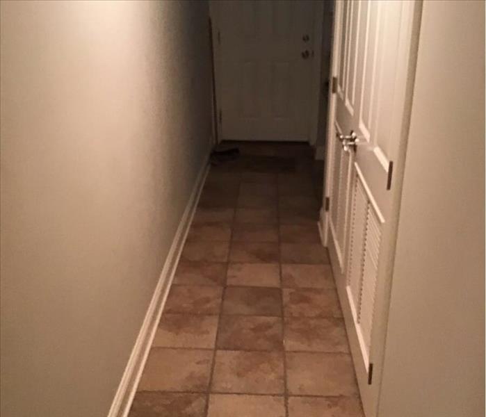 Wet brown tile in a hallway with white walls and white trim.