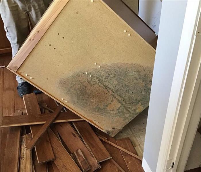 Mold on the back of a cabinet in a kitchen with hardwood floors.
