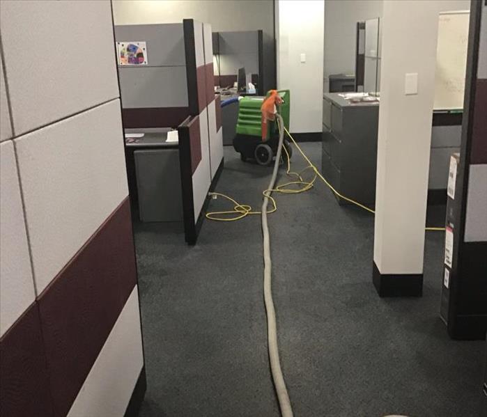 Wet office hallway with a green water extractor and white hoses on the floor.