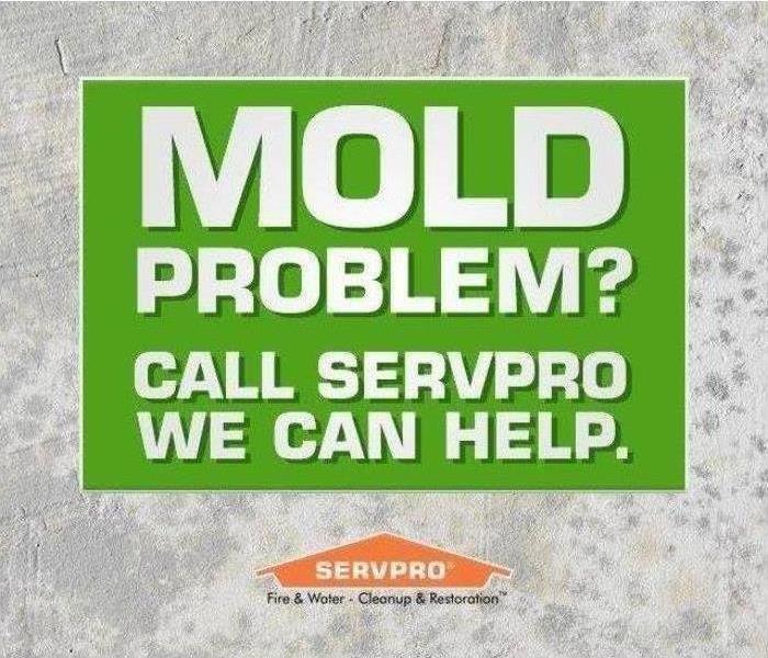 Green box that reads Mold Problems? Call SERVPRO we can help with an orange SERVPRO house logo under it.