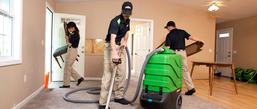Plymouth, MN cleaning services